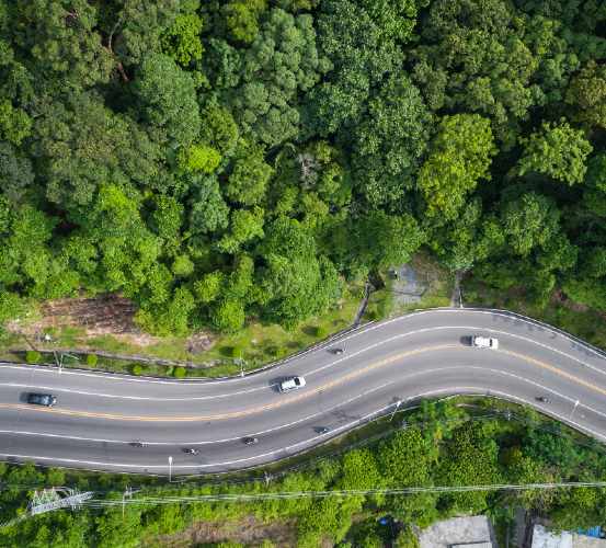 Un carretera y un bosque
