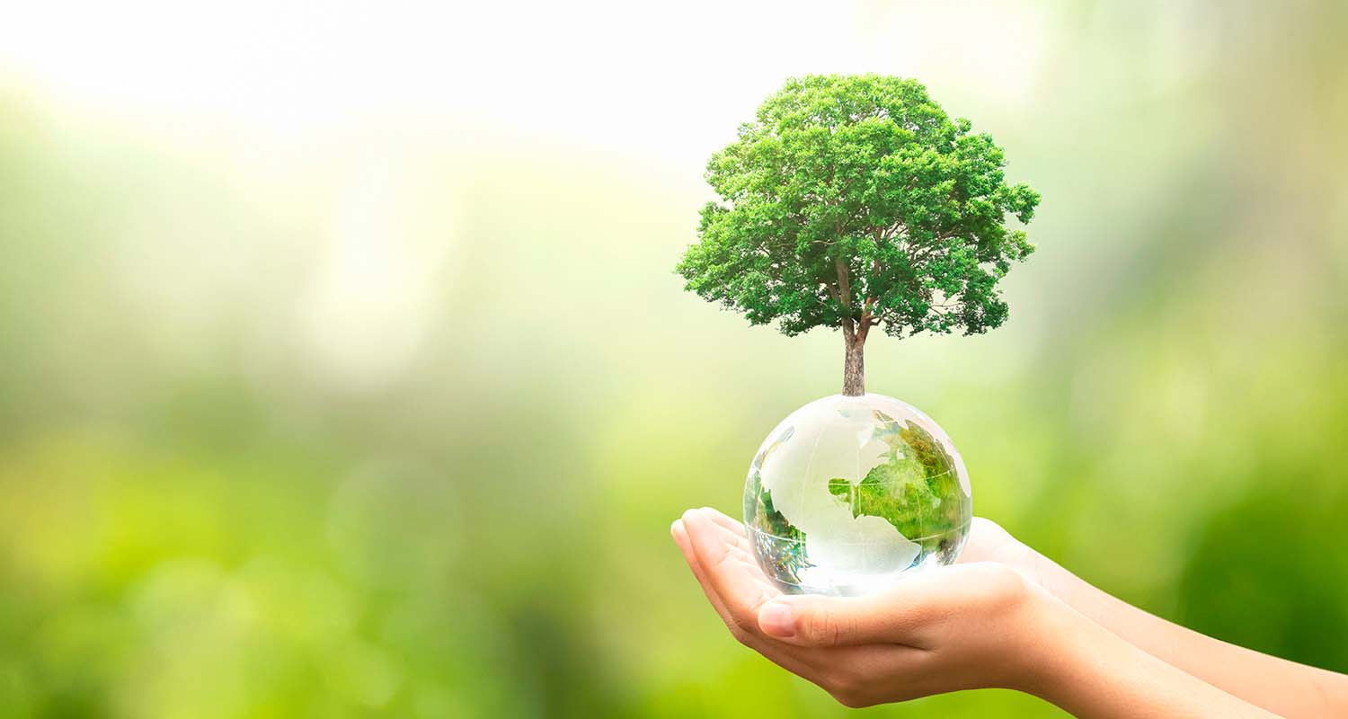 Bola del mundo sujetada por manos