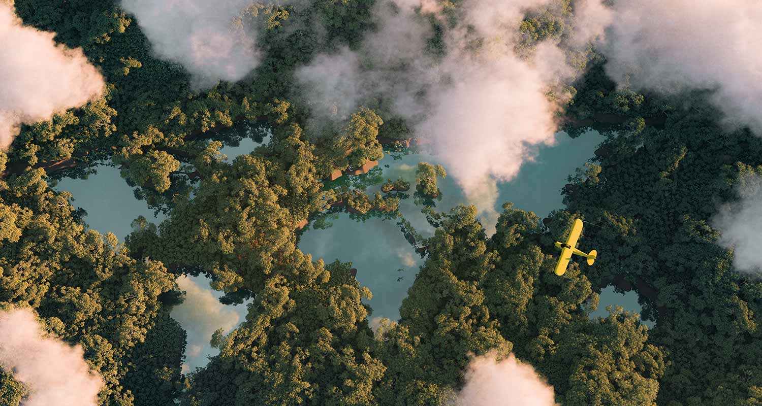 Bosques y nubes